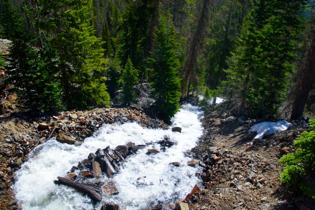 Boss Lake & Hunt Lake Trail Guide