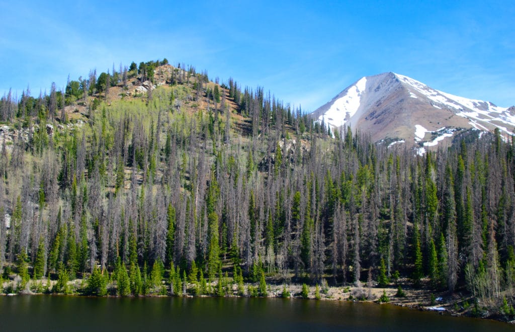 Boss Lake & Hunt Lake Trail Guide