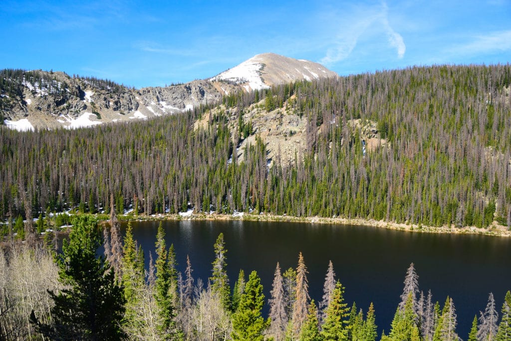 Boss Lake & Hunt Lake Trail Guide