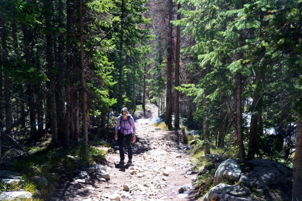 Boss Lake & Hunt Lake Trail Guide