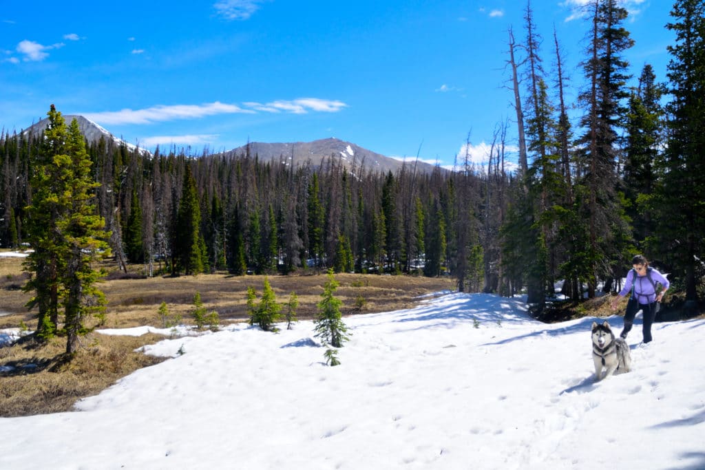 Boss Lake & Hunt Lake Trail Guide