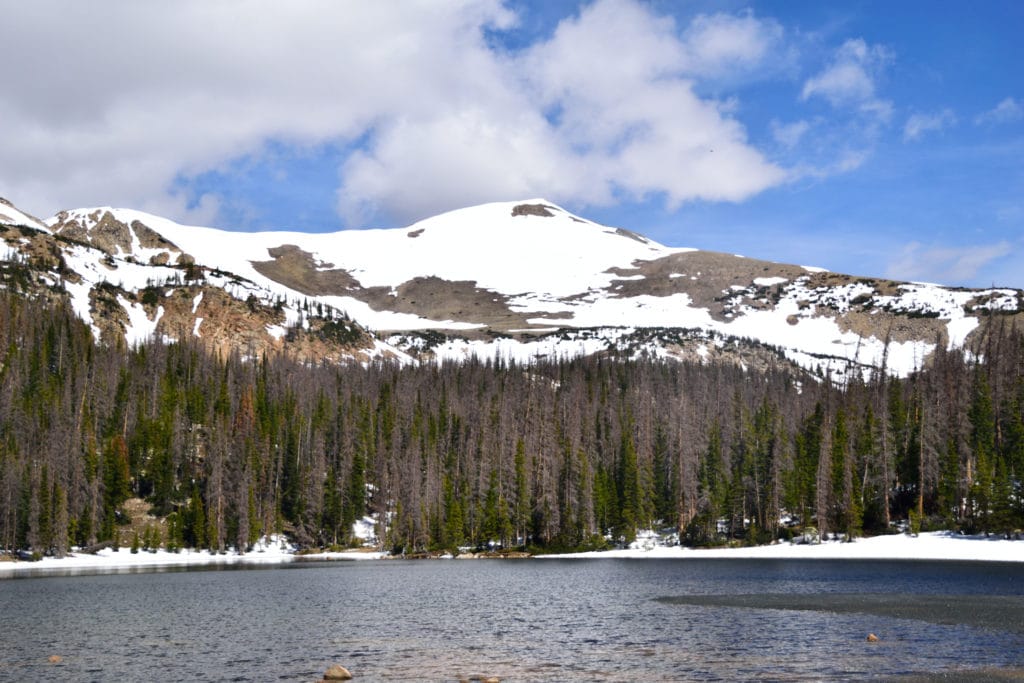 Boss Lake & Hunt Lake Trail Guide