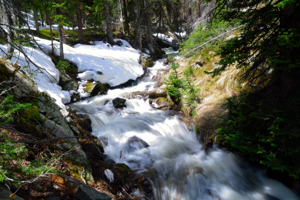 Boss Lake & Hunt Lake Trail Guide