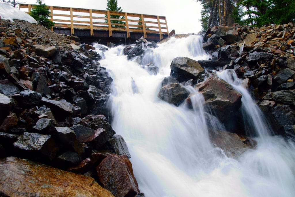 Boss Lake & Hunt Lake Trail Guide