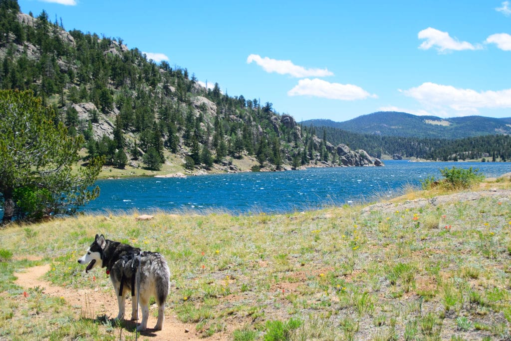 Eleven Mile State Park Hiking Trail Guide