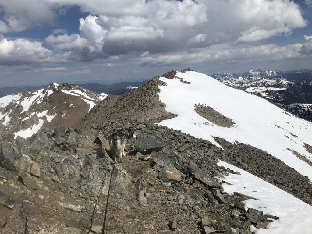 Mt Massive Southwest Slopes 14er Trail Guide - Virtual Sherpa