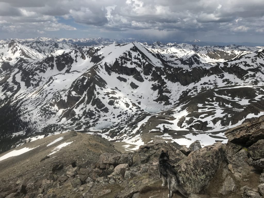 Mt Massive Southwest Slopes Virtual Trail Guide