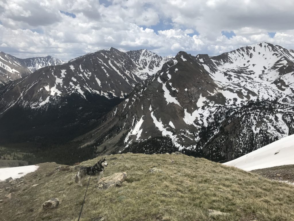 Mt Massive Southwest Slopes Virtual Trail Guide