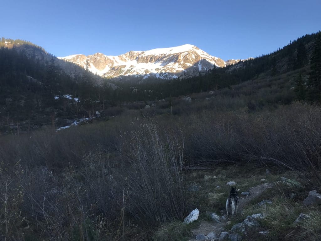 Mt Massive Southwest Slopes Virtual Trail Guide