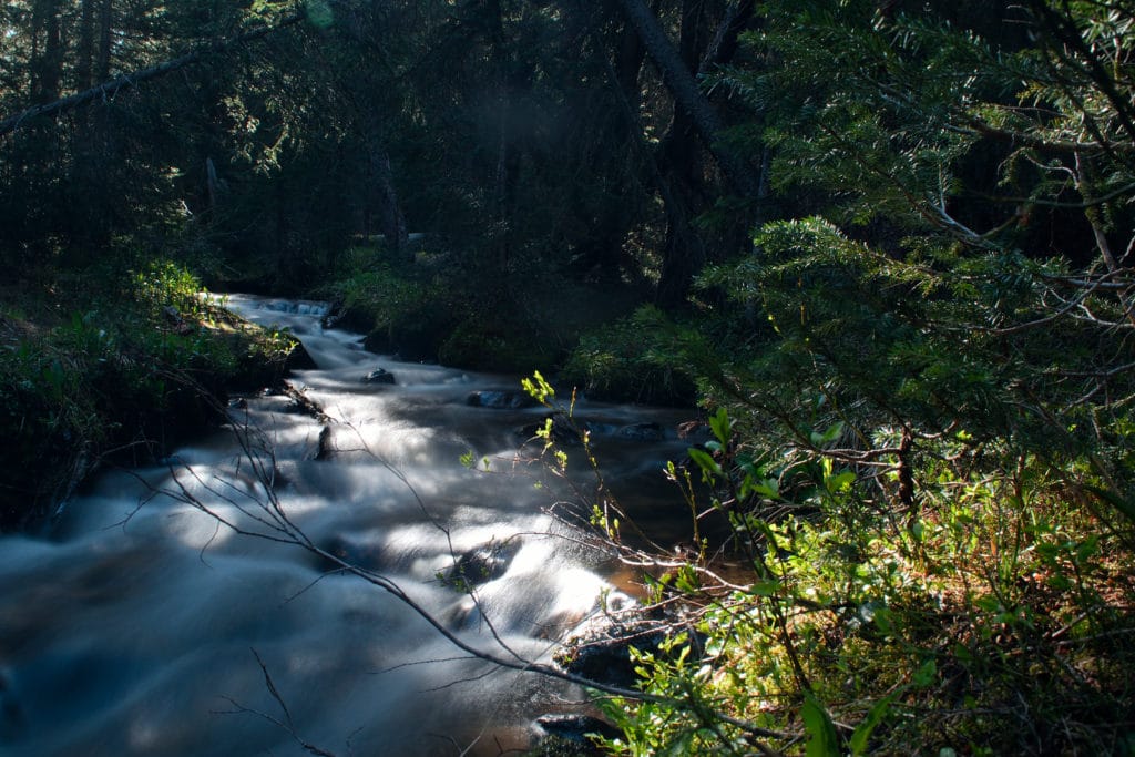 Colorado Trail Segment 6 Hike Trail Guide