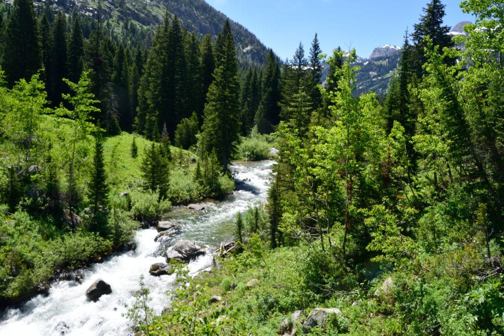 Devil's Staircase Hike Trail Guide