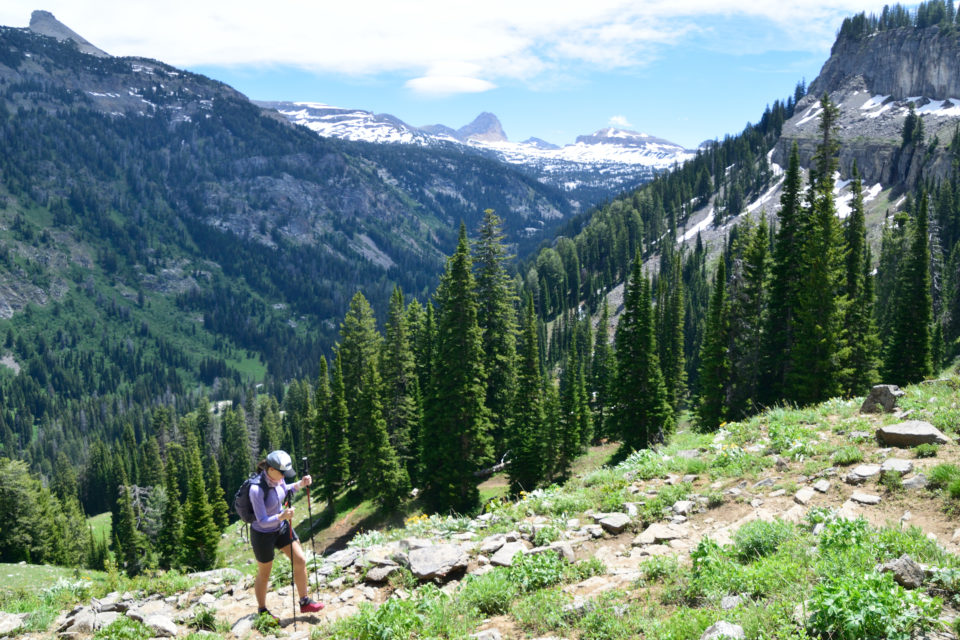 Devil's Staircase Wyoming Hike Trail Guide - Virtual Sherpa