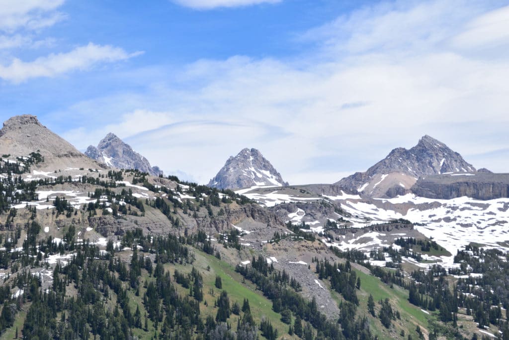 Devil's Staircase Hike Trail Guide