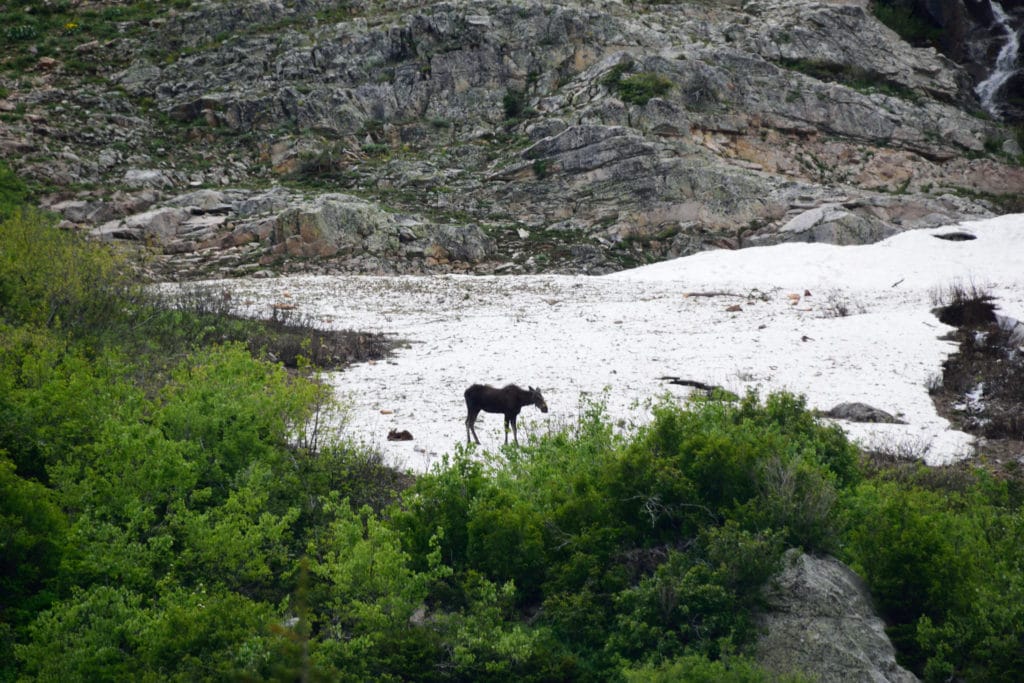 Devil's Staircase Hike Trail Guide