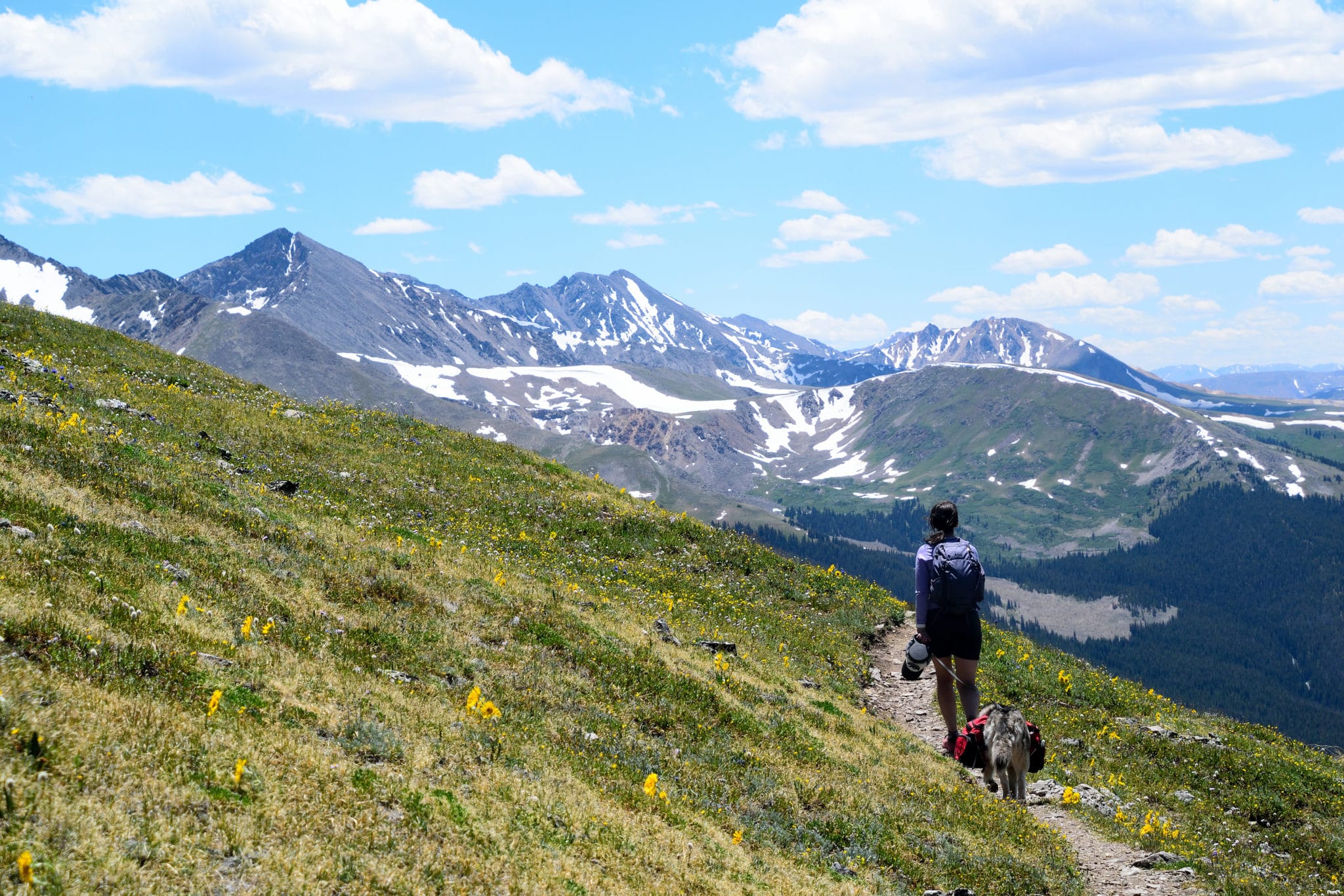 Colorado Trail Segment 7 Hike Trail Guide - Virtual Sherpa