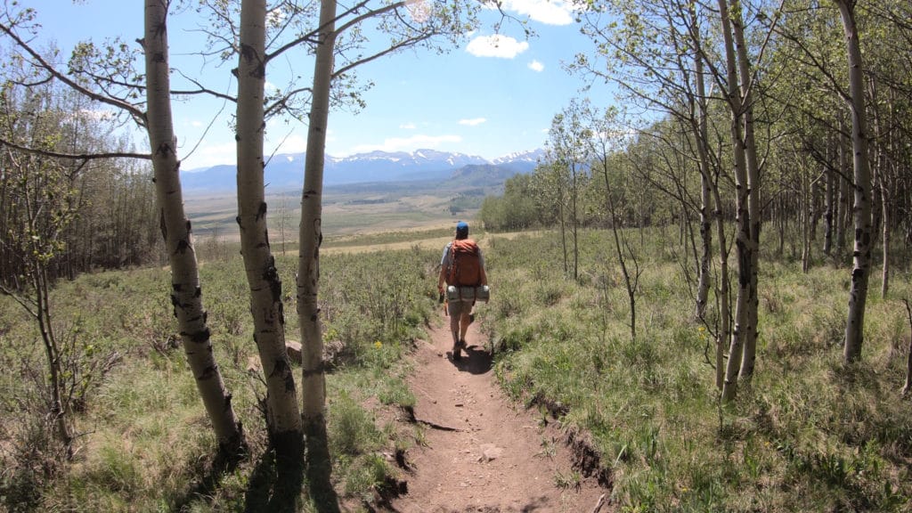 Colorado Trail Segment 6 Hike Trail Guide