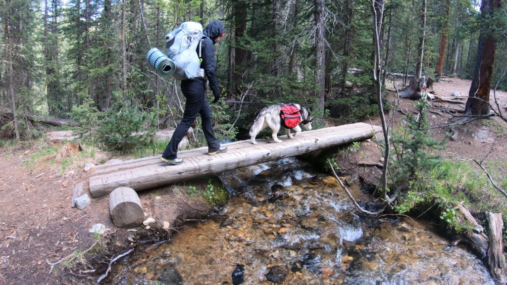 Colorado Trail Segment 6 Hike Trail Guide