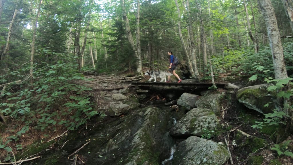 Mt Mansfield Hike Trail Guide