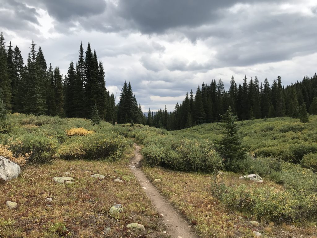 Colorado Trail Segment 9 Hike Trail Guide