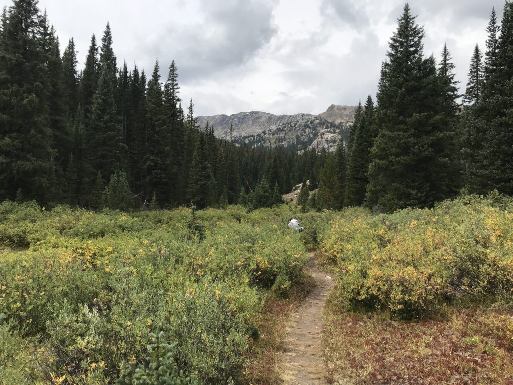 Colorado Trail Segment 9 Hike Trail Guide