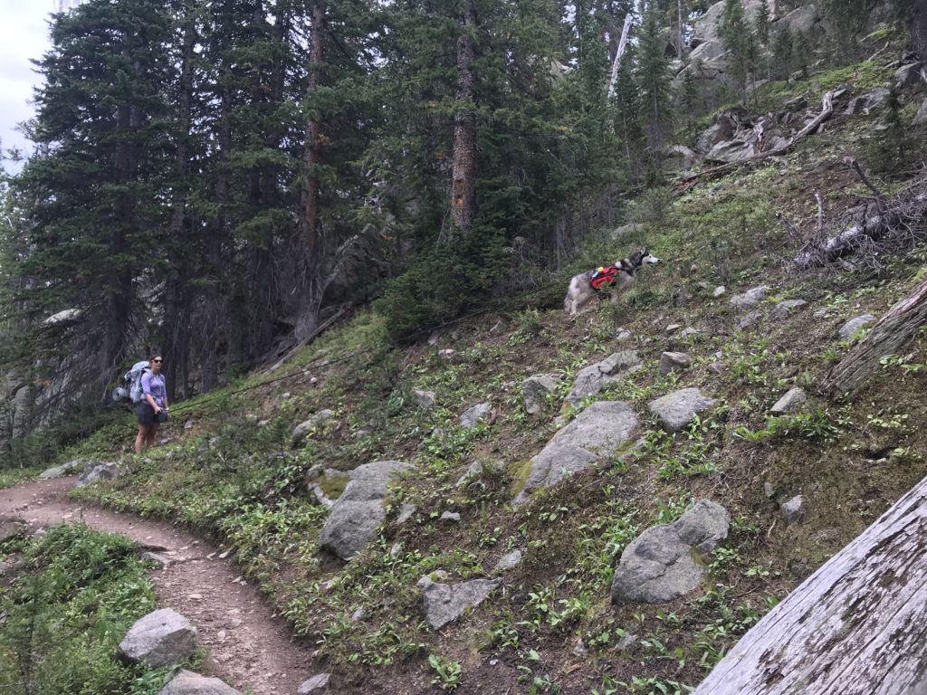 Colorado Trail Segment 9 Hike Trail Guide