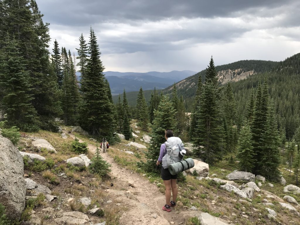 Colorado Trail Segment 9 Hike Trail Guide