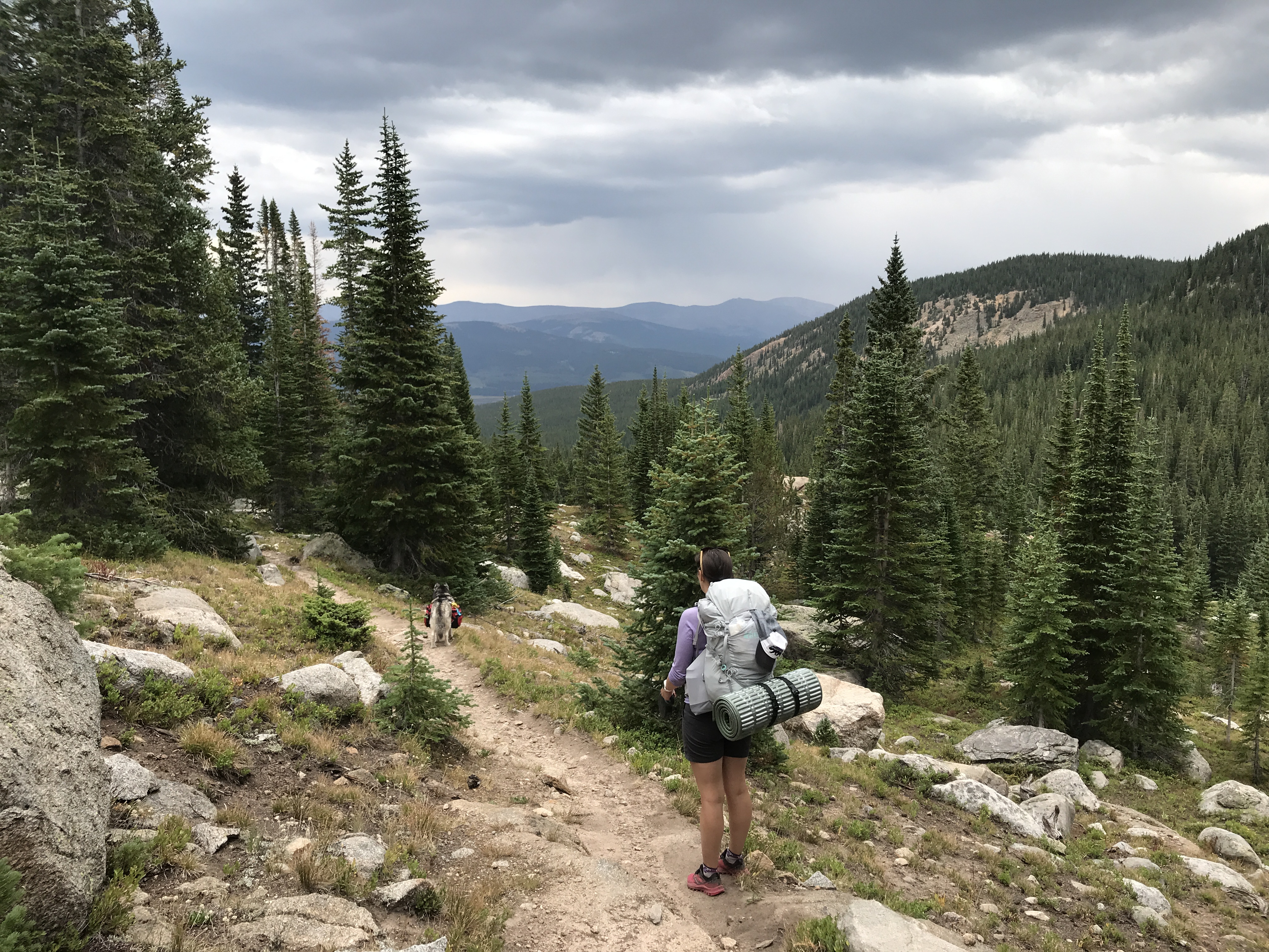 Colorado Trail Segment 9 Hike Trail Guide - Virtual Sherpa