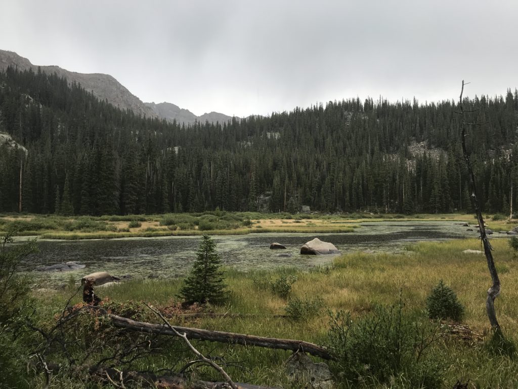 Colorado Trail Segment 9 Hike Trail Guide