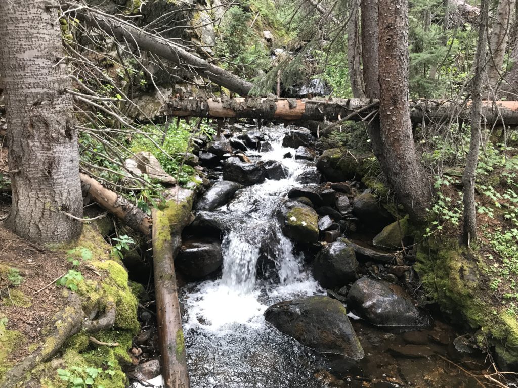 Colorado Trail Segment 10 Hike Trail Guide