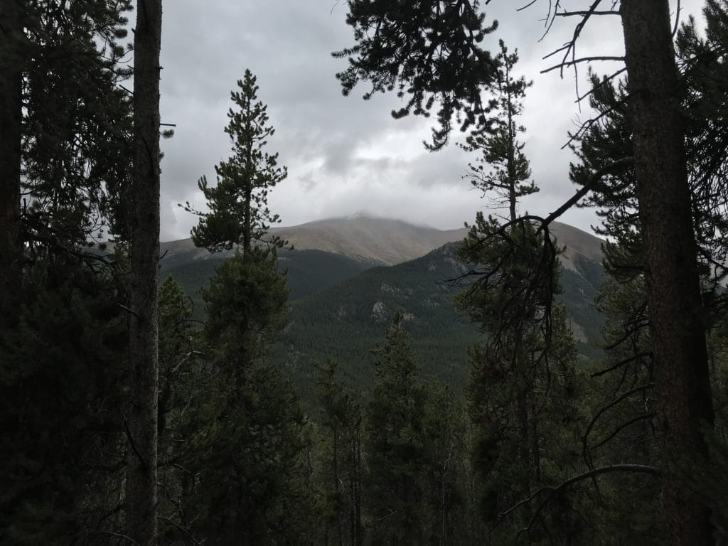 Colorado Trail Segment 10 Hike Trail Guide