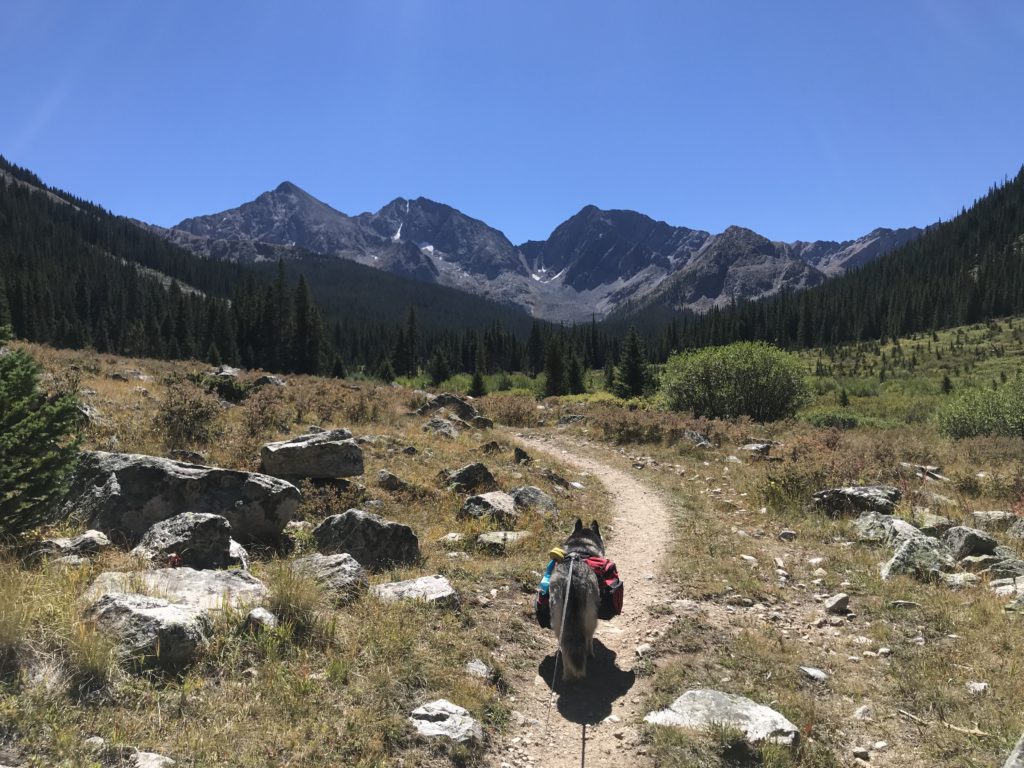 Collegiate Peaks West 2 Colorado Trail Guide