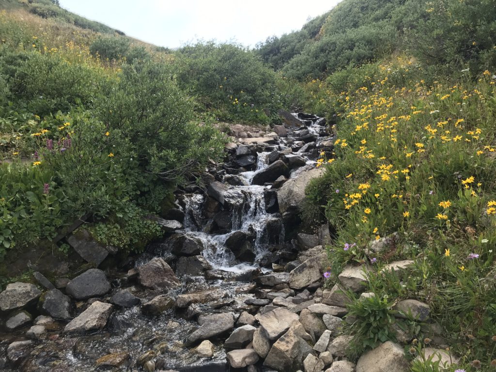 Colorado Trail Segment 8 Hike Pictures