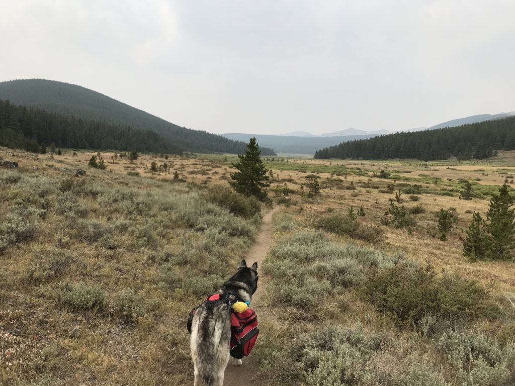 Colorado Trail Segment 8 Hike Pictures