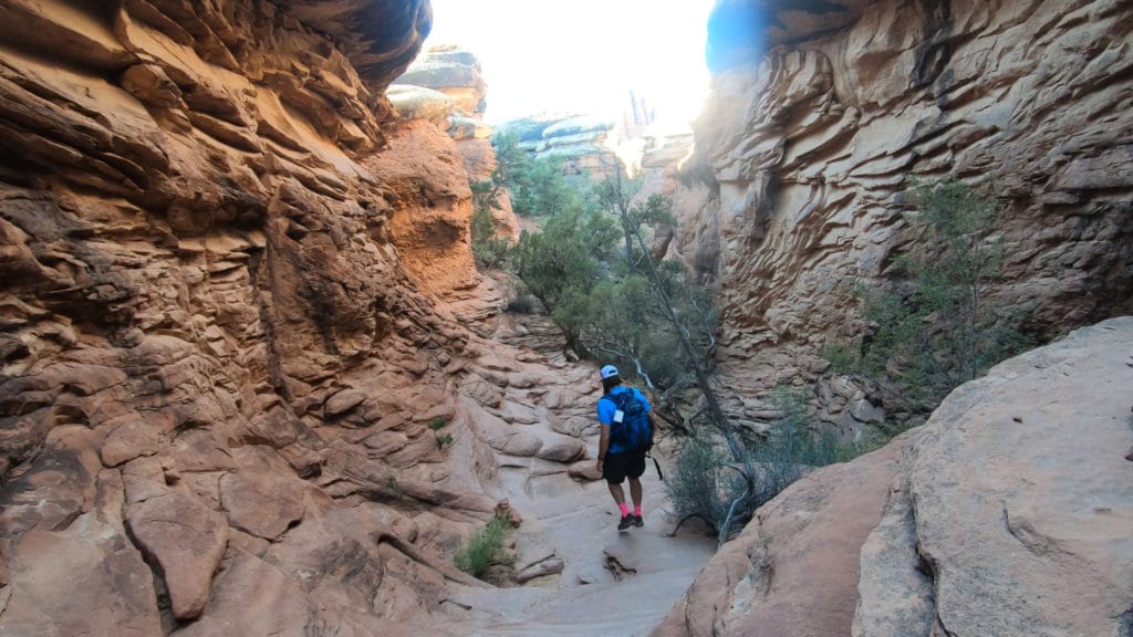 Needles District Canyonlands National Park Hike Guide