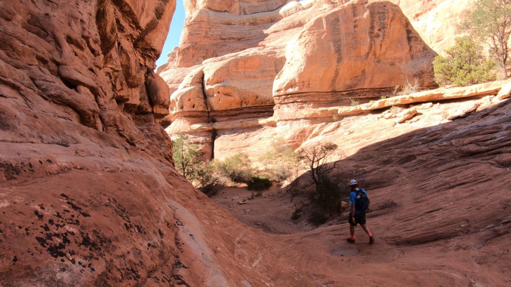 Needles District Canyonlands National Park Hike Guide