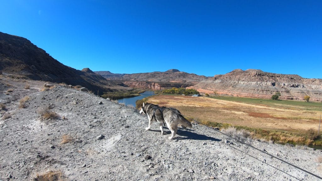 Big Dominguez Canyon Trail Guide