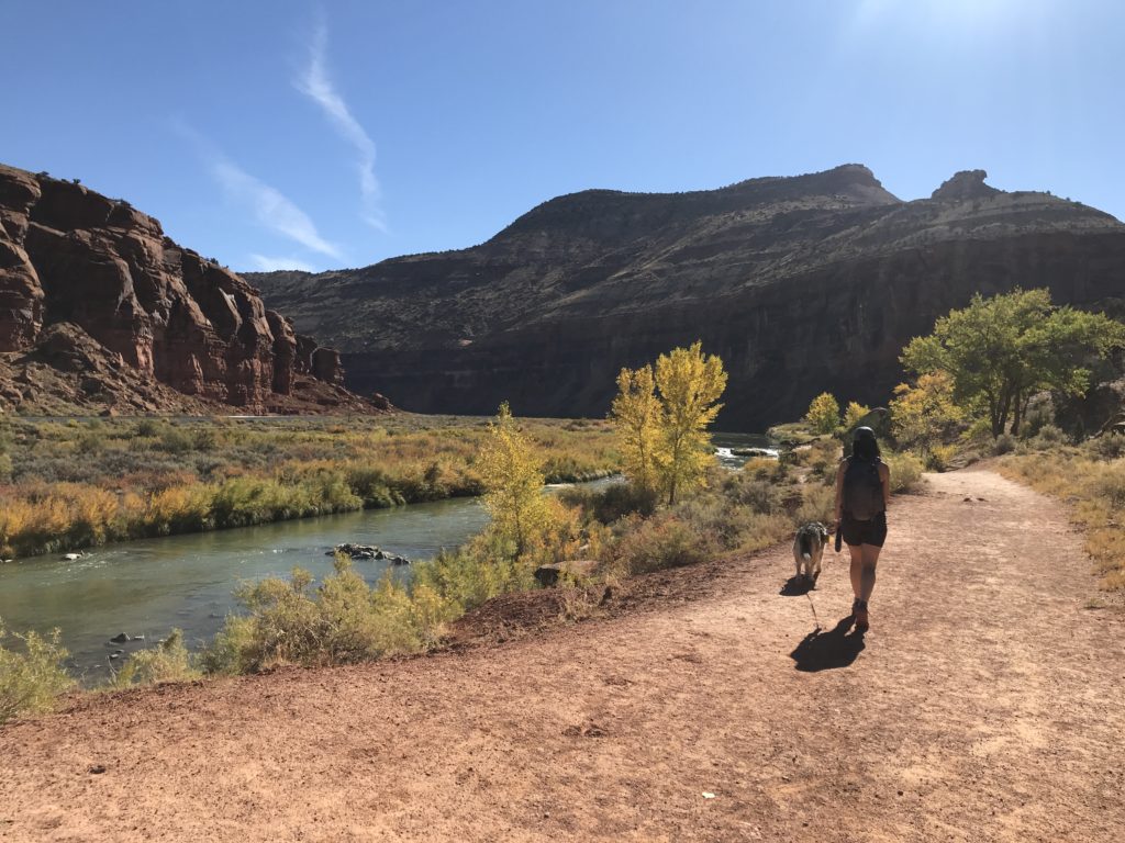 Big Dominguez Canyon Trail Guide