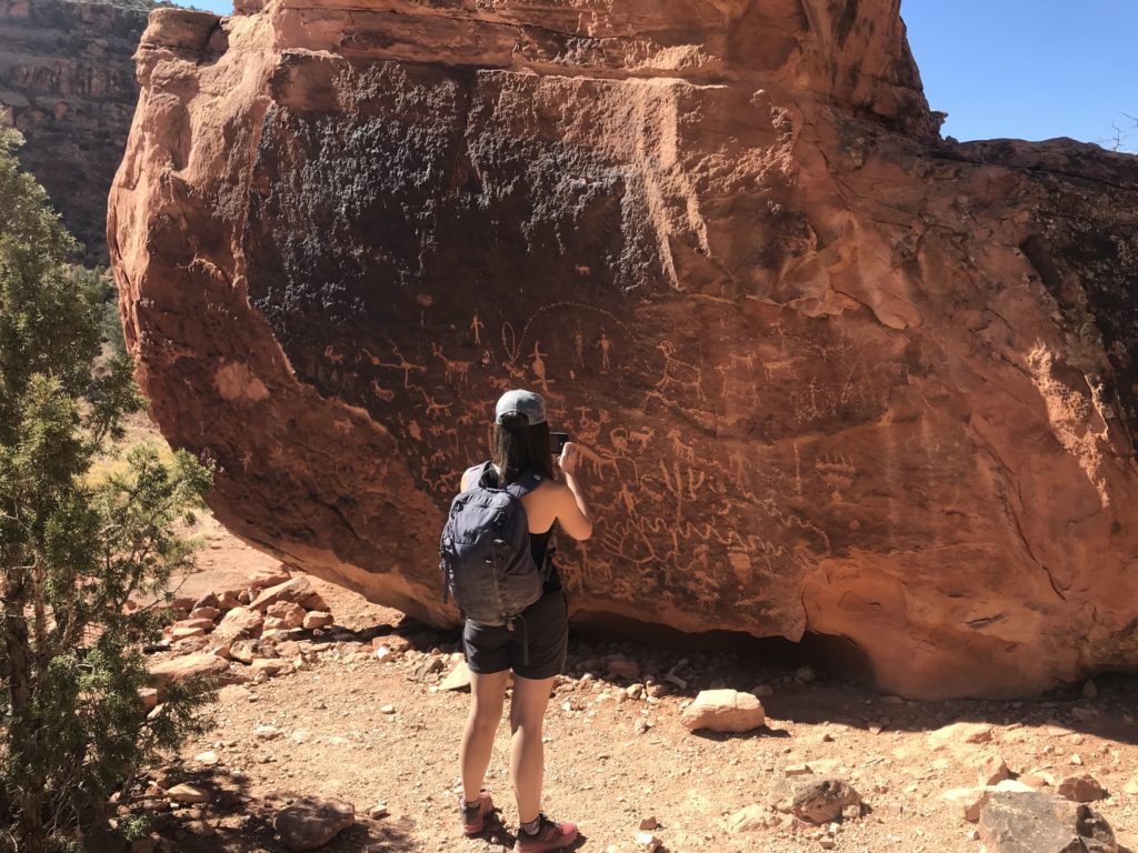 Big Dominguez Canyon Trail Guide