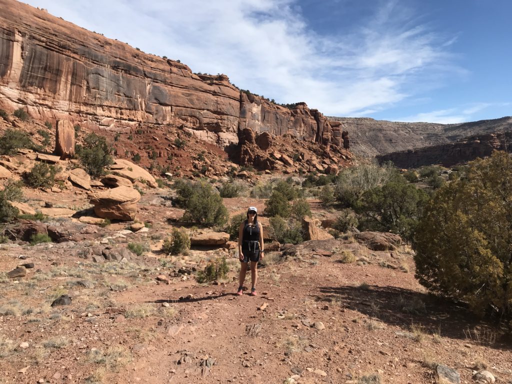 Big Dominguez Canyon Trail Guide