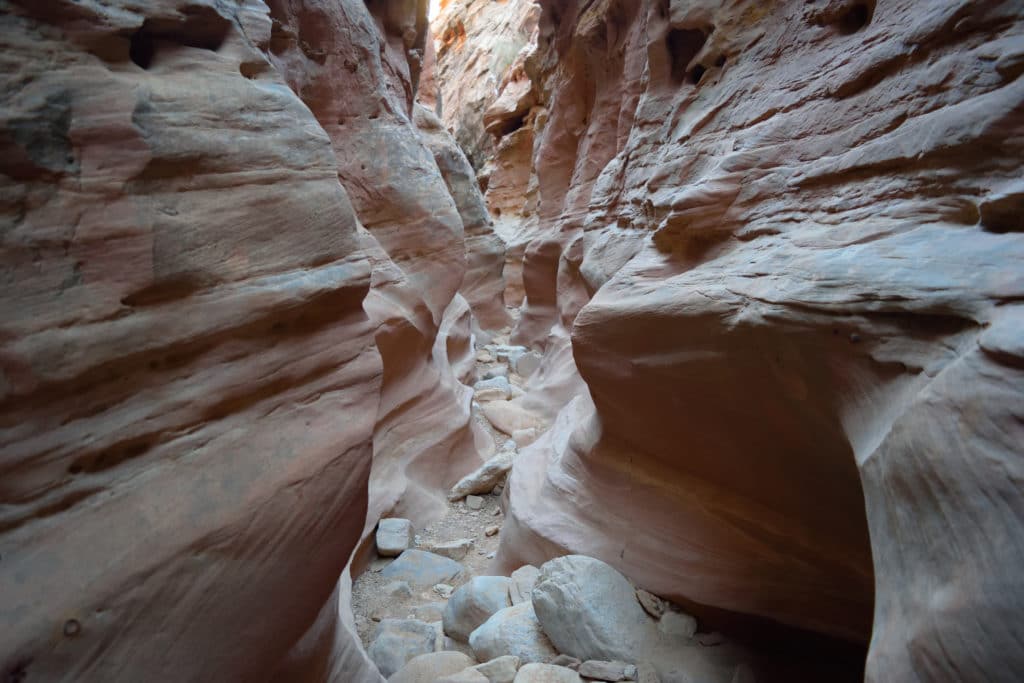 Little Wild Horse Canyon & Bell Canyon Trail Guide