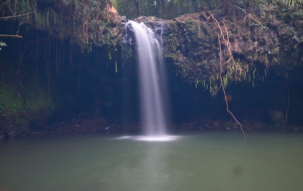 Twin Falls Maui Hike Pictures