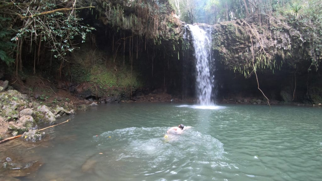 Twin Falls Maui Hike Pictures