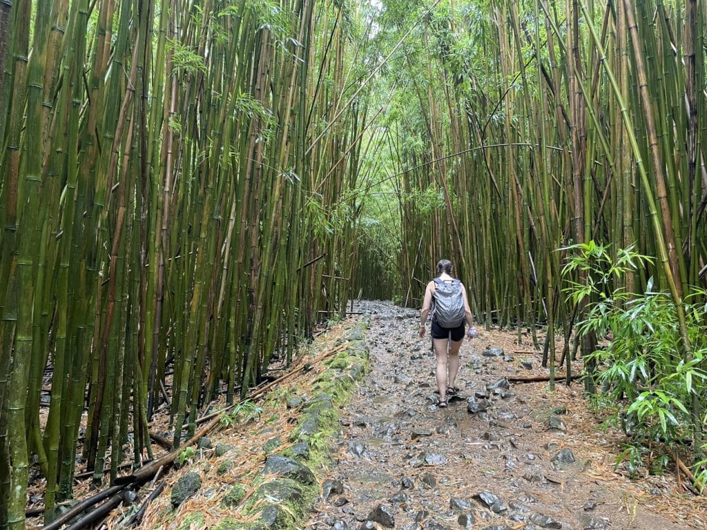 Pipiwai Trail Maui Hike Pictures