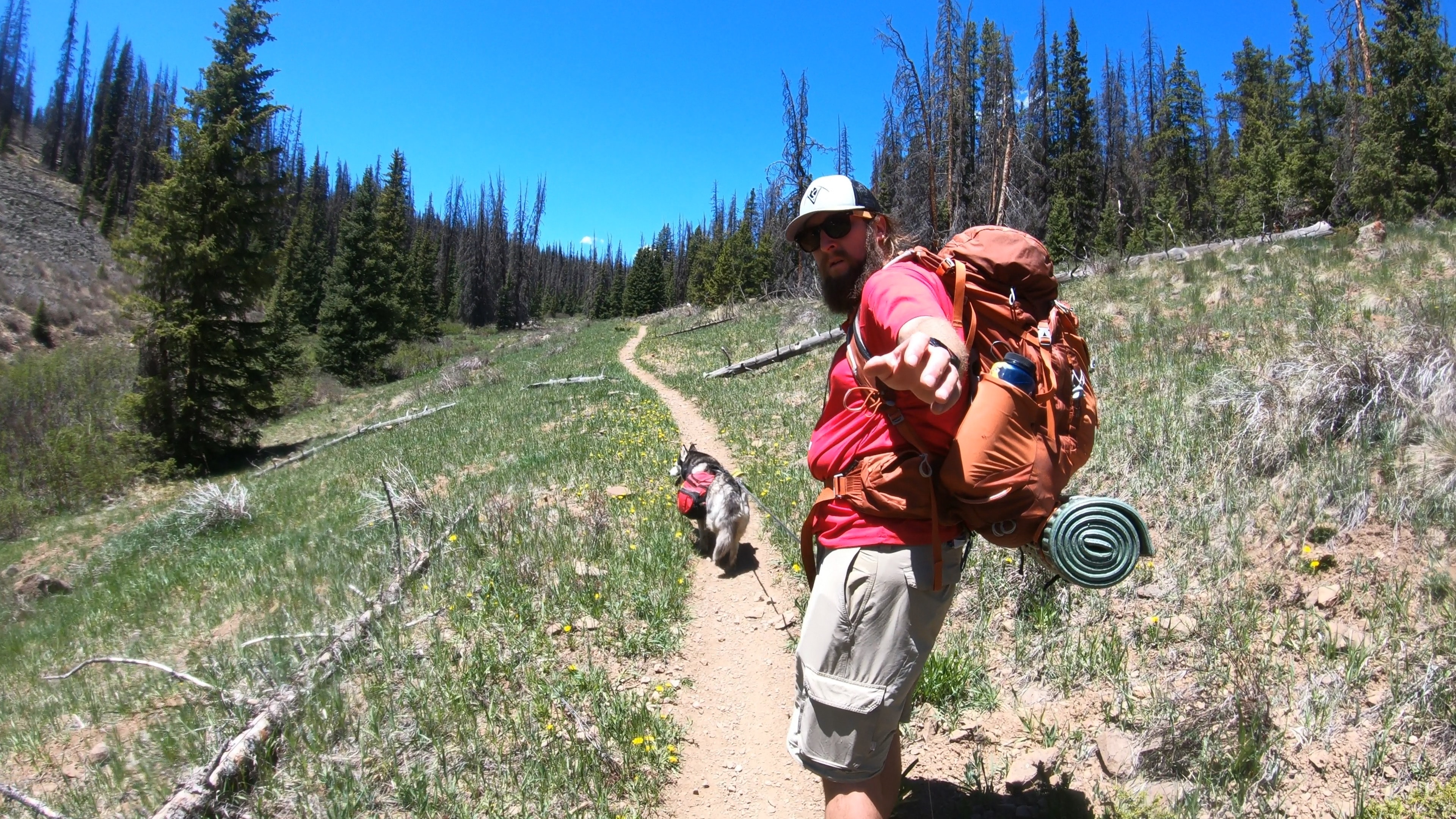 Colorado Trail Segments 16 & 17 Hike Guide - Virtual Sherpa