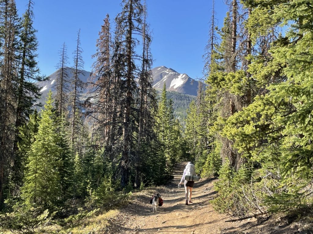 Colorado Trail Segments 16 & 17 Pictures