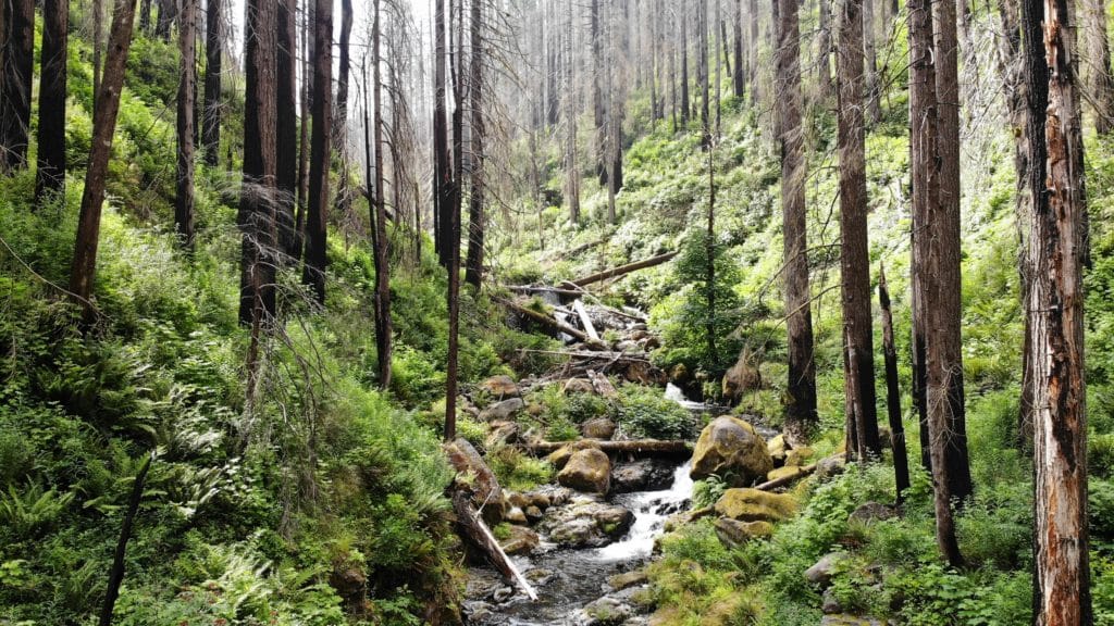 Wahkeena Falls & Multnomah Falls Loop Hike Pictures