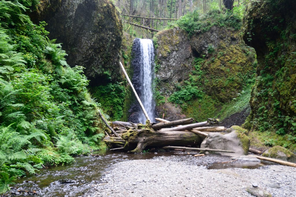 Wahkeena Falls & Multnomah Falls Loop Hike Pictures