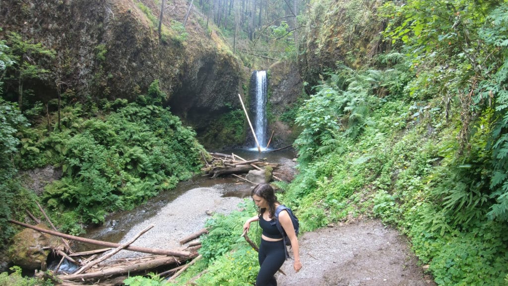 Wahkeena Falls & Multnomah Falls Loop Hike Pictures