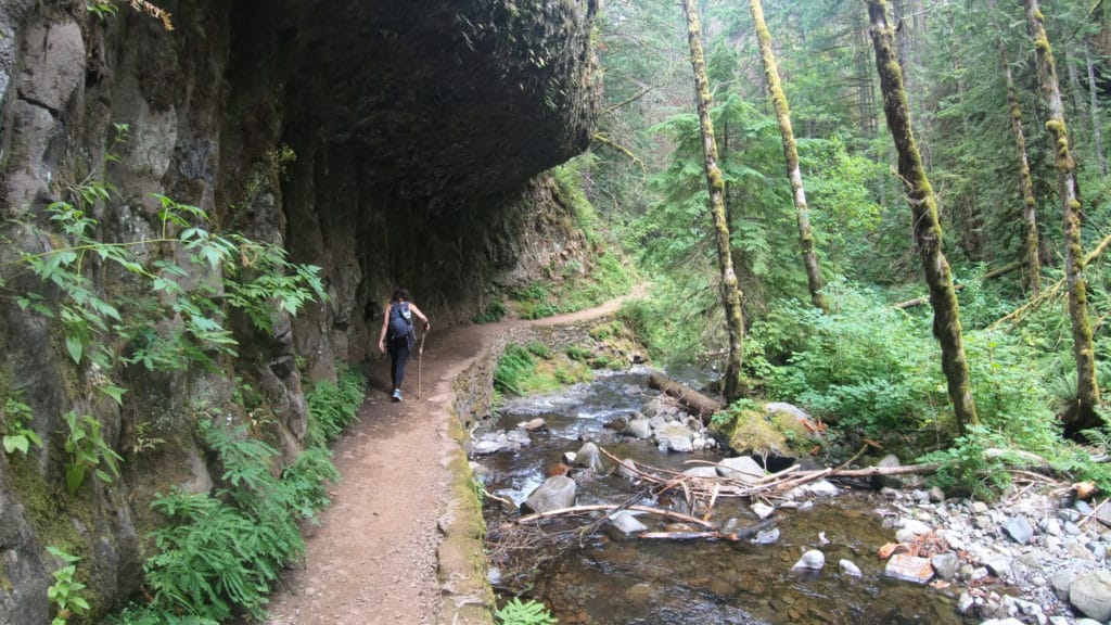 Wahkeena Falls & Multnomah Falls Loop Hike Pictures