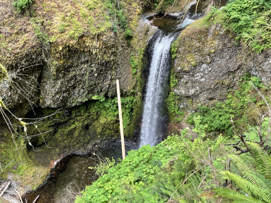 Wahkeena Falls & Multnomah Falls Loop Hike Pictures